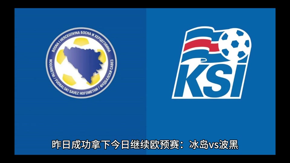 包含冰岛队小组出线，进军欧预赛八强，表现亮眼的词条